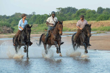 Botswana-Mashatu-Land of the Giants - Tuli Riding Safari